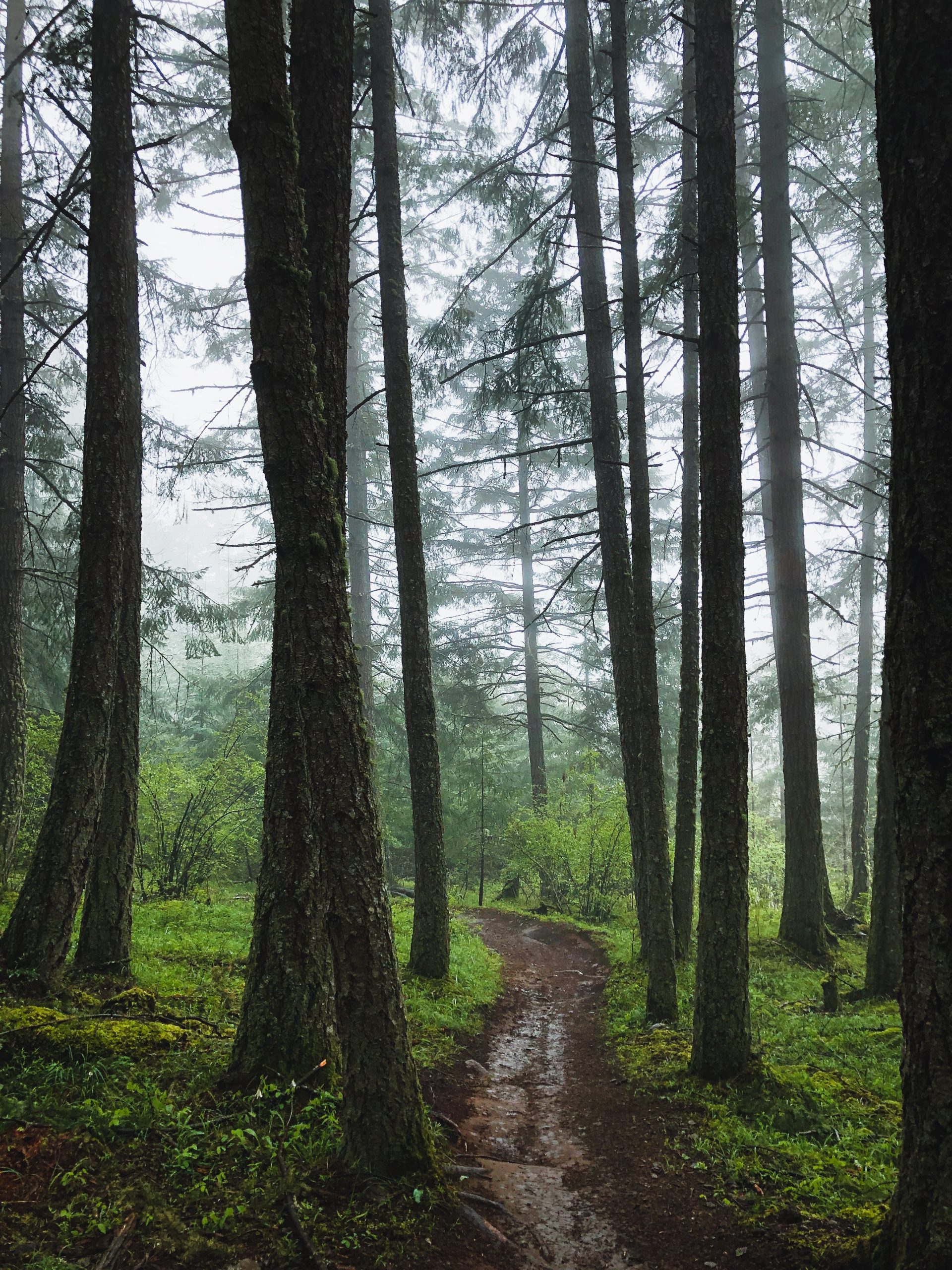 Clean Air, the Best Travel Amenity