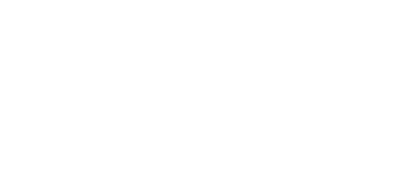 The Carolina Experience